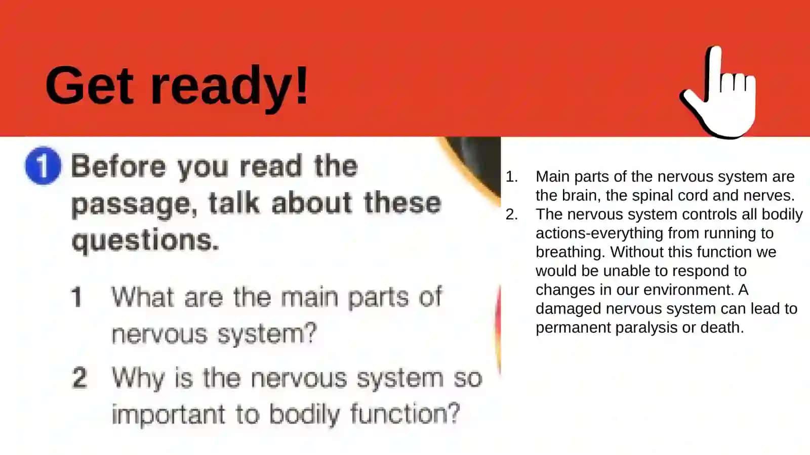 NERVOUS SYSTEM 2