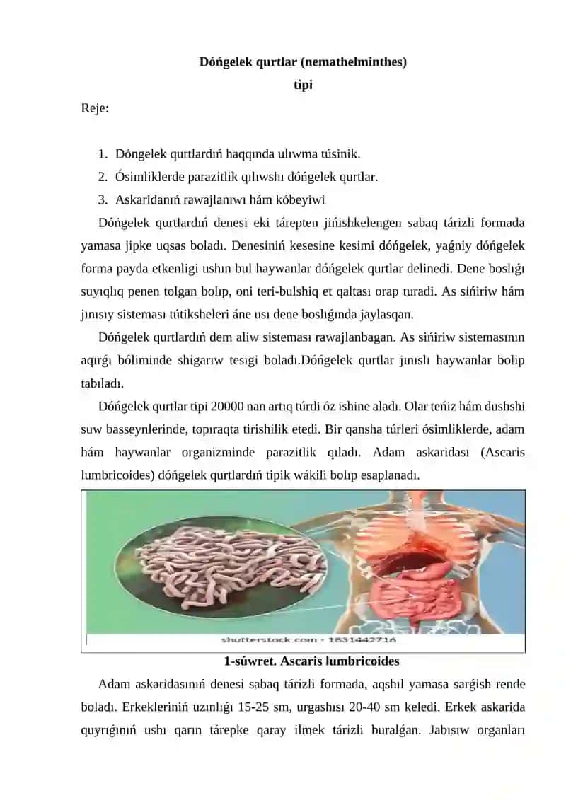 Nematodalardıń morfologiyası hám anatomiyası 2