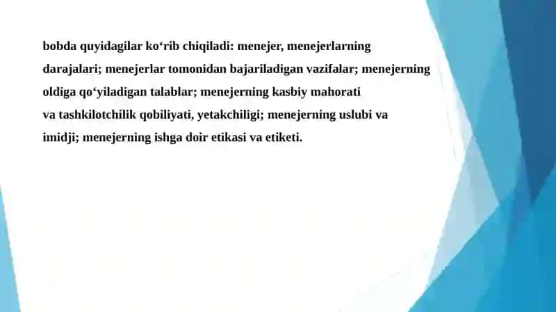Menejer 2
