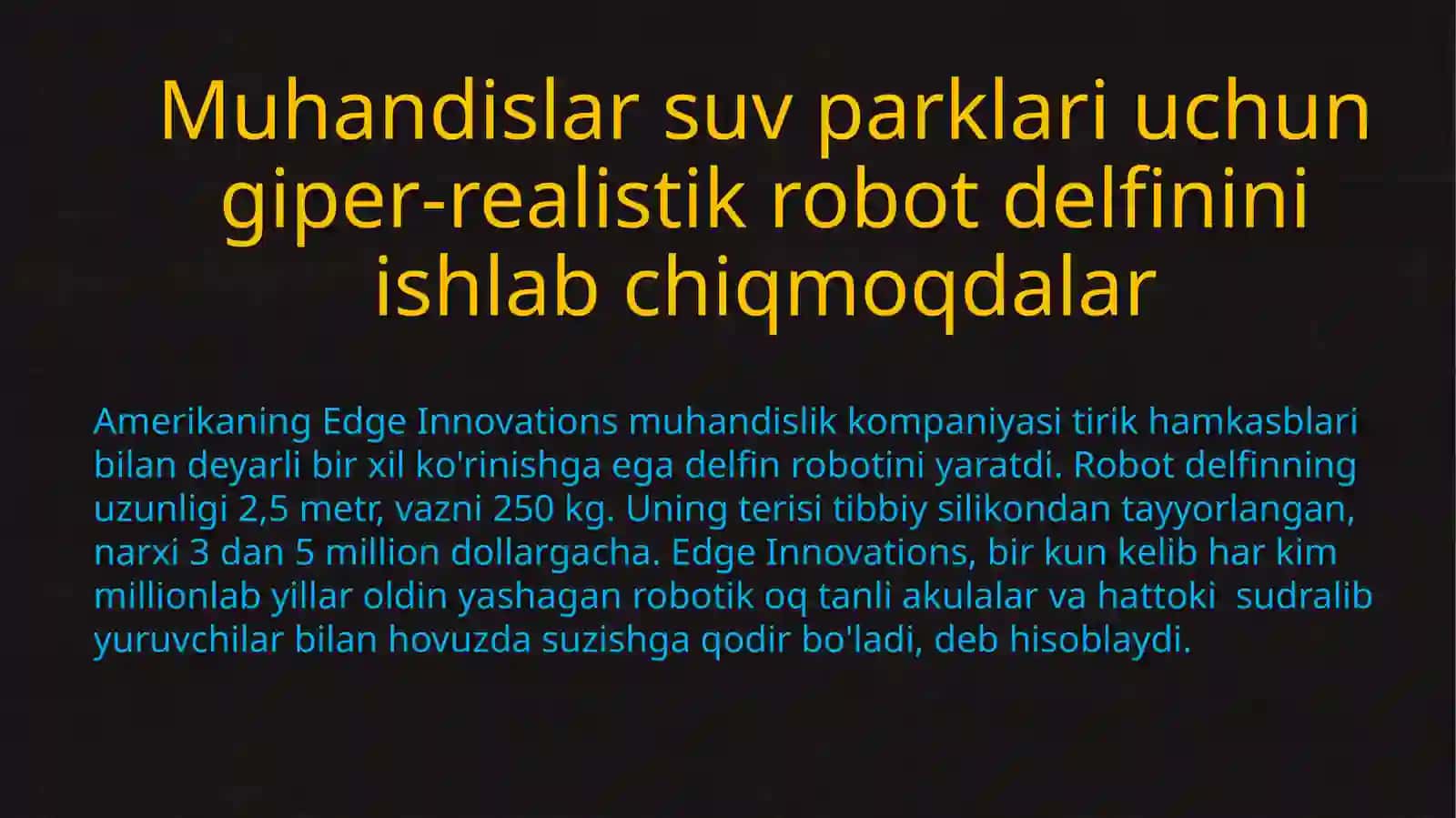 Robot delfini 2