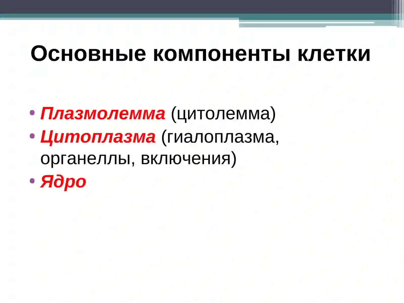 Цитоплазма клетки: органеллы общего и специального значения 2