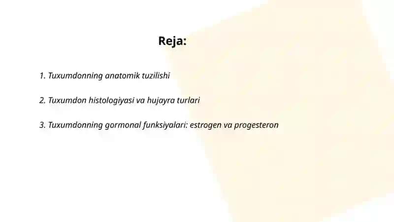 Tuxumdonning anatomik tuzilishi 2