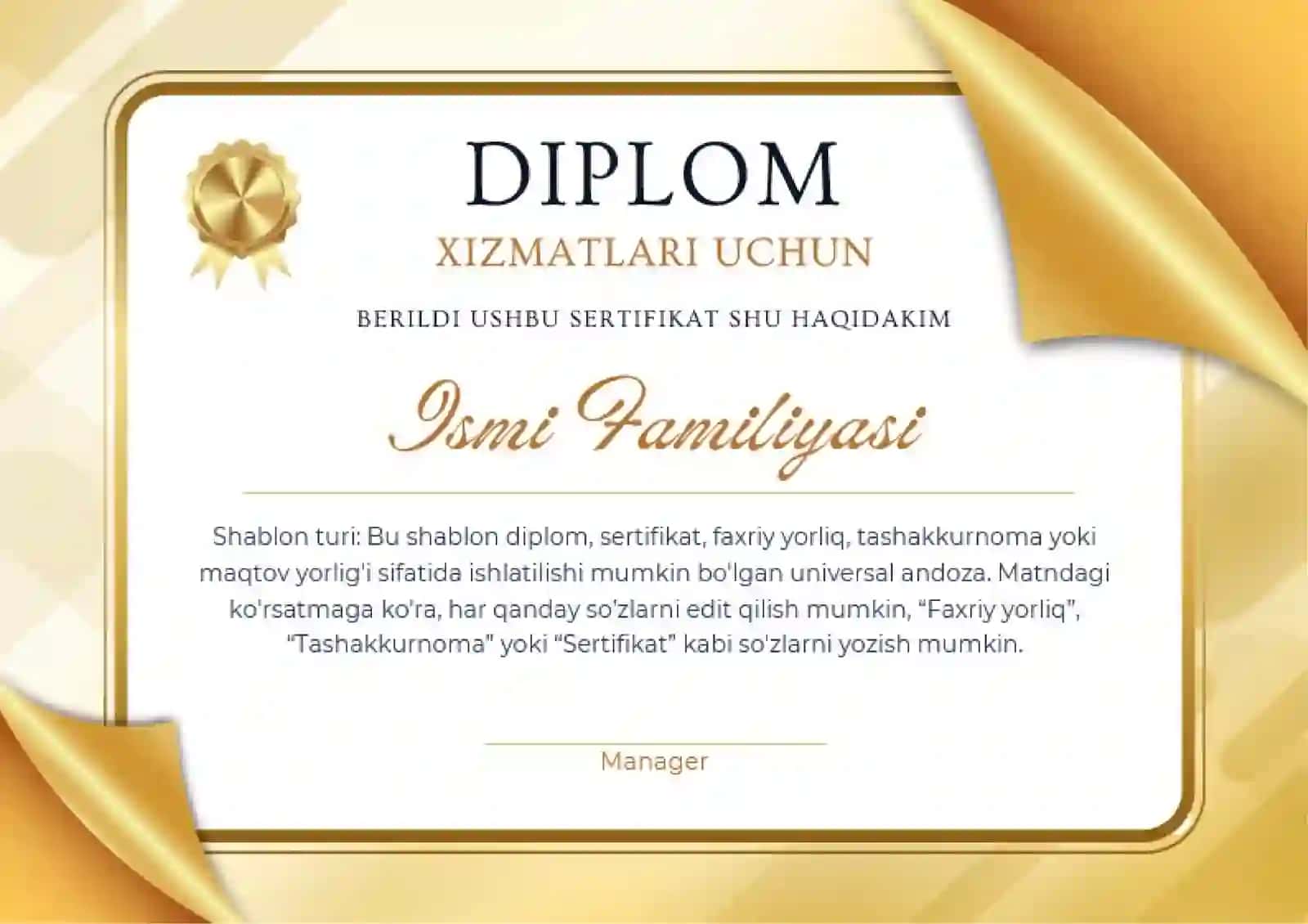 DIPLOM 2