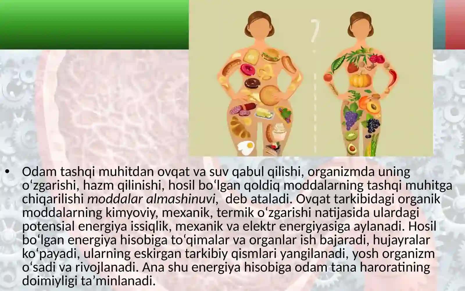 “Moddalar va energiya almashinuvi haqida umumiy tushuncha” mavzusida 8-sinf biologiya fanidan dars ishlanma. 2