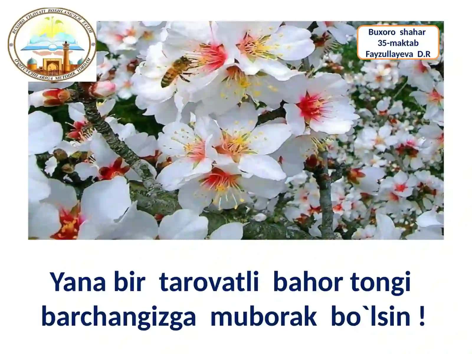 Fayzullayeva Dilrabo Rahmonovna 35-maktab boshlang'ich sinfoqituvchisi 2