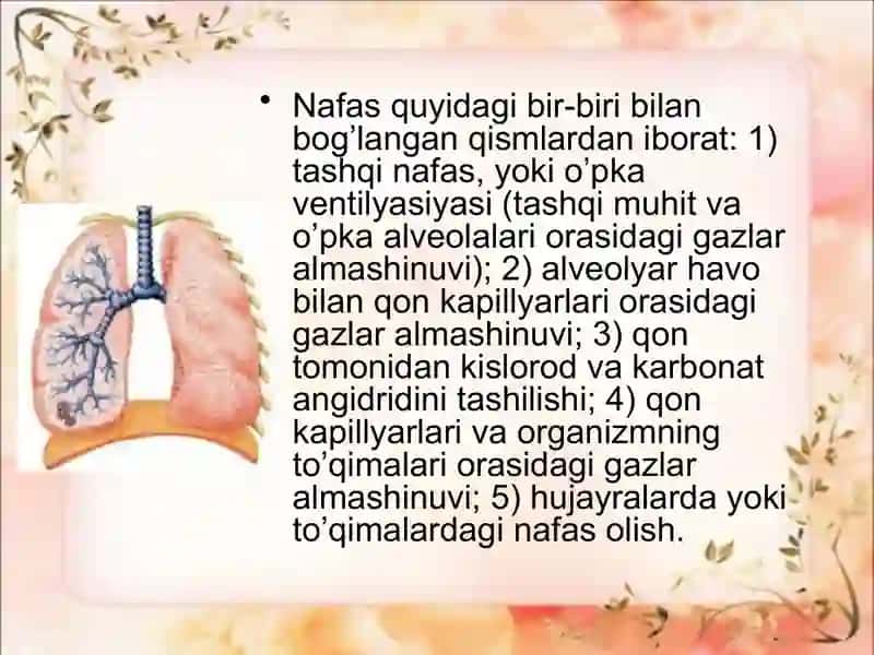 Tashqi nafas faoliyatini baholash 2
