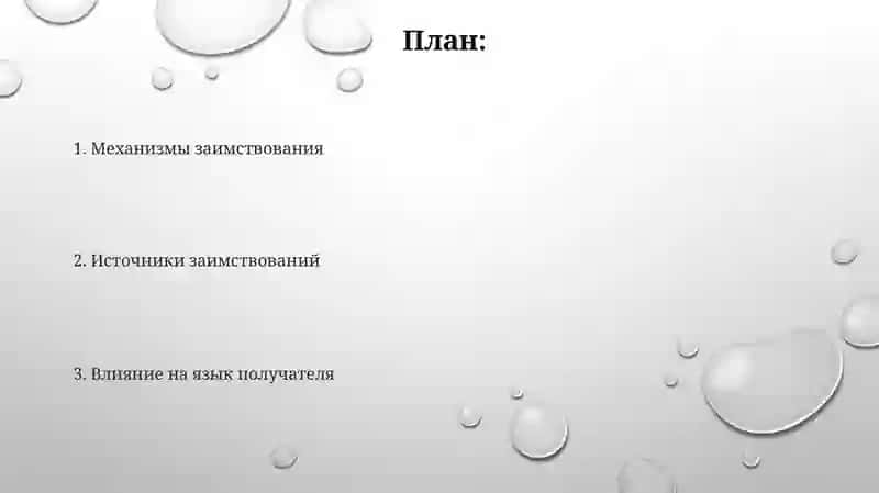 Заимствованная лексика 2
