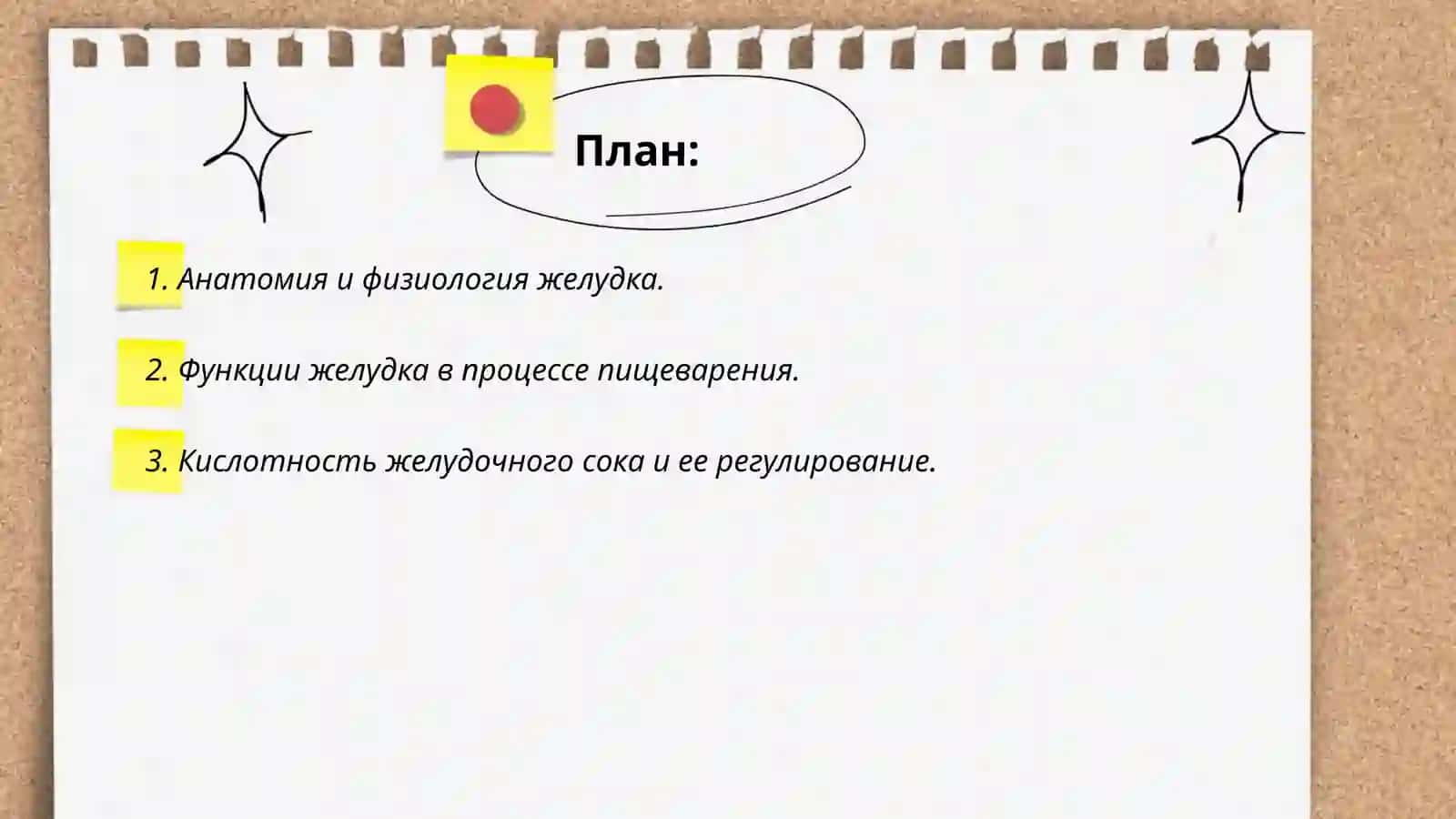 Желудок человека—это орган пищеварительной системы 2
