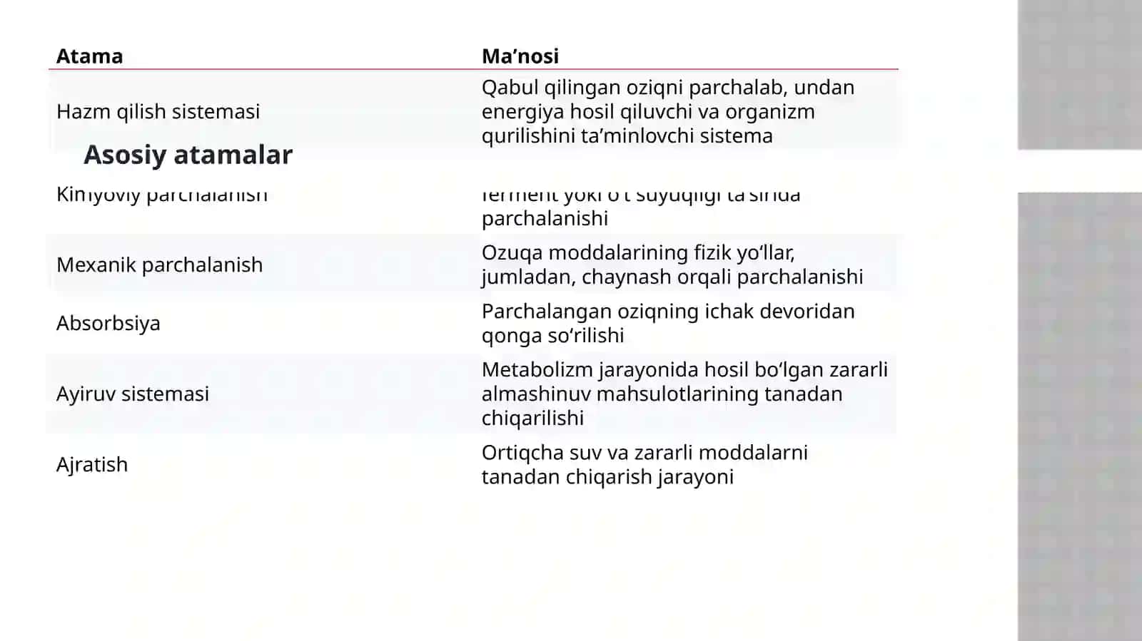 Ovqat Hazm Qilish Organlari Tuzilishi — Anatomik Taqdimot.pptx 2