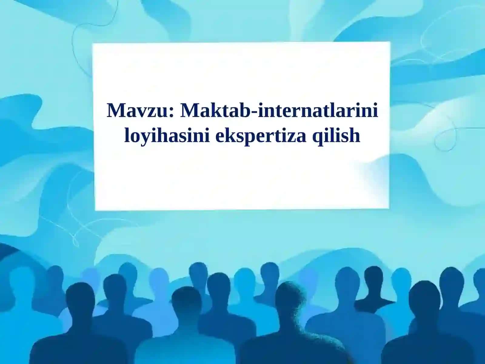 Maktab-internatlariniloyihasiniekspertizaqilish 2