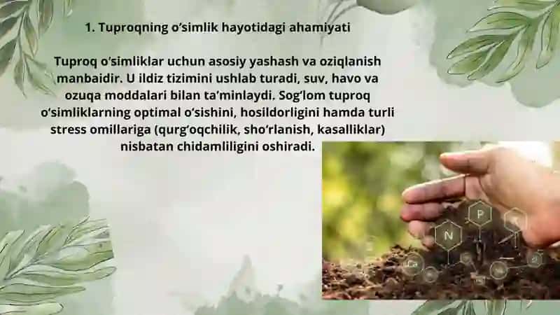 Oʻsimlik chidamliliga tuproq holatining taʼsiri 2