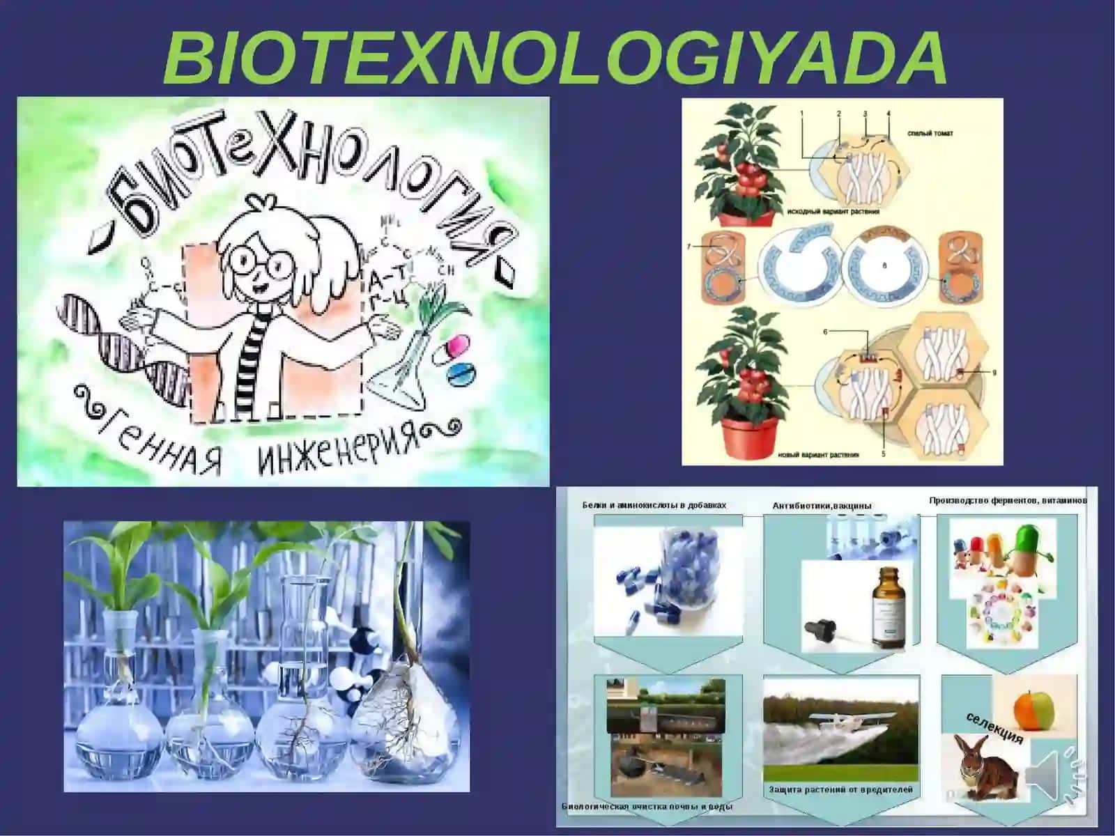 BIOTEXNOLOGIYADA 2