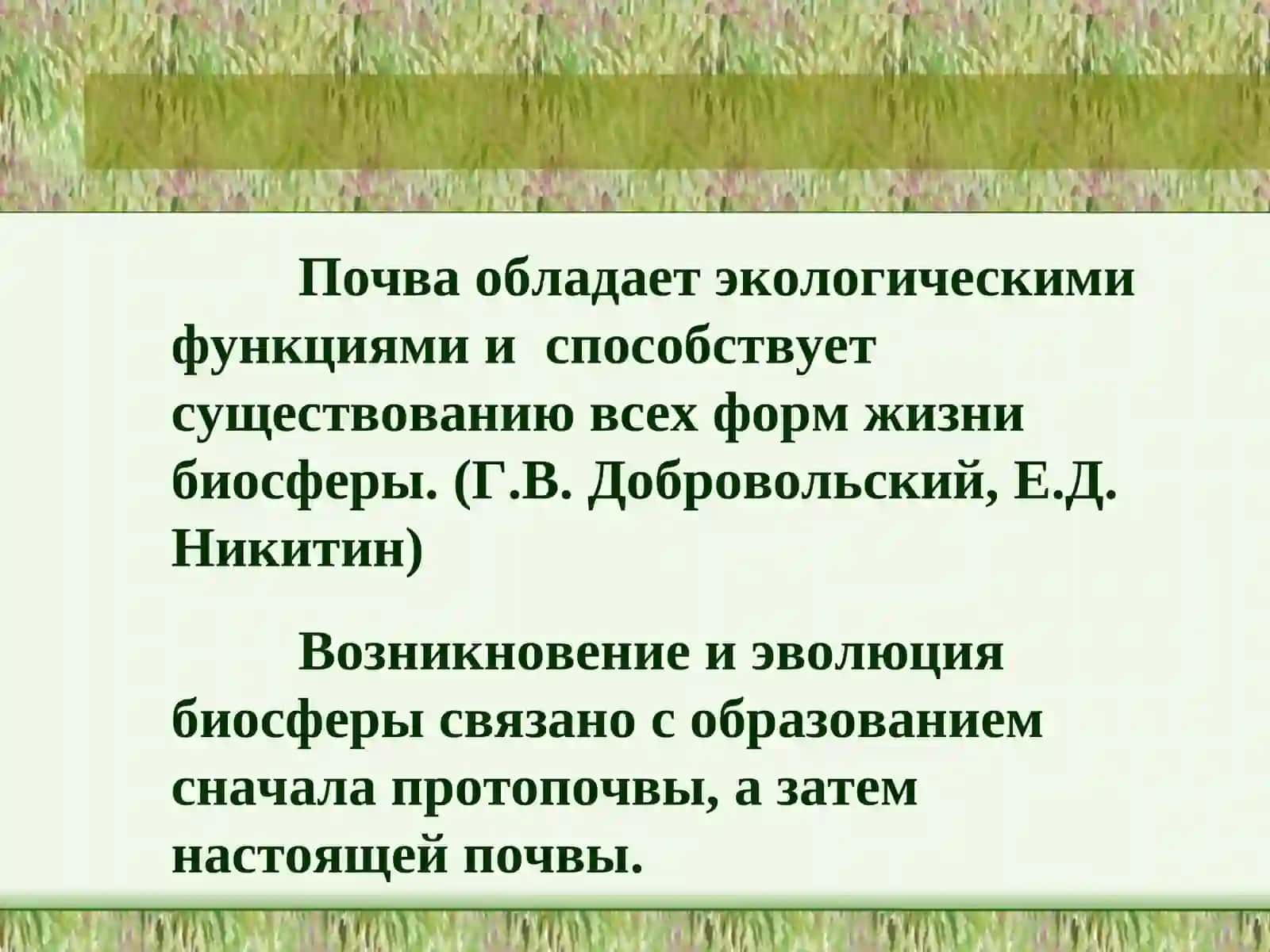 Экологические функции почвы 2