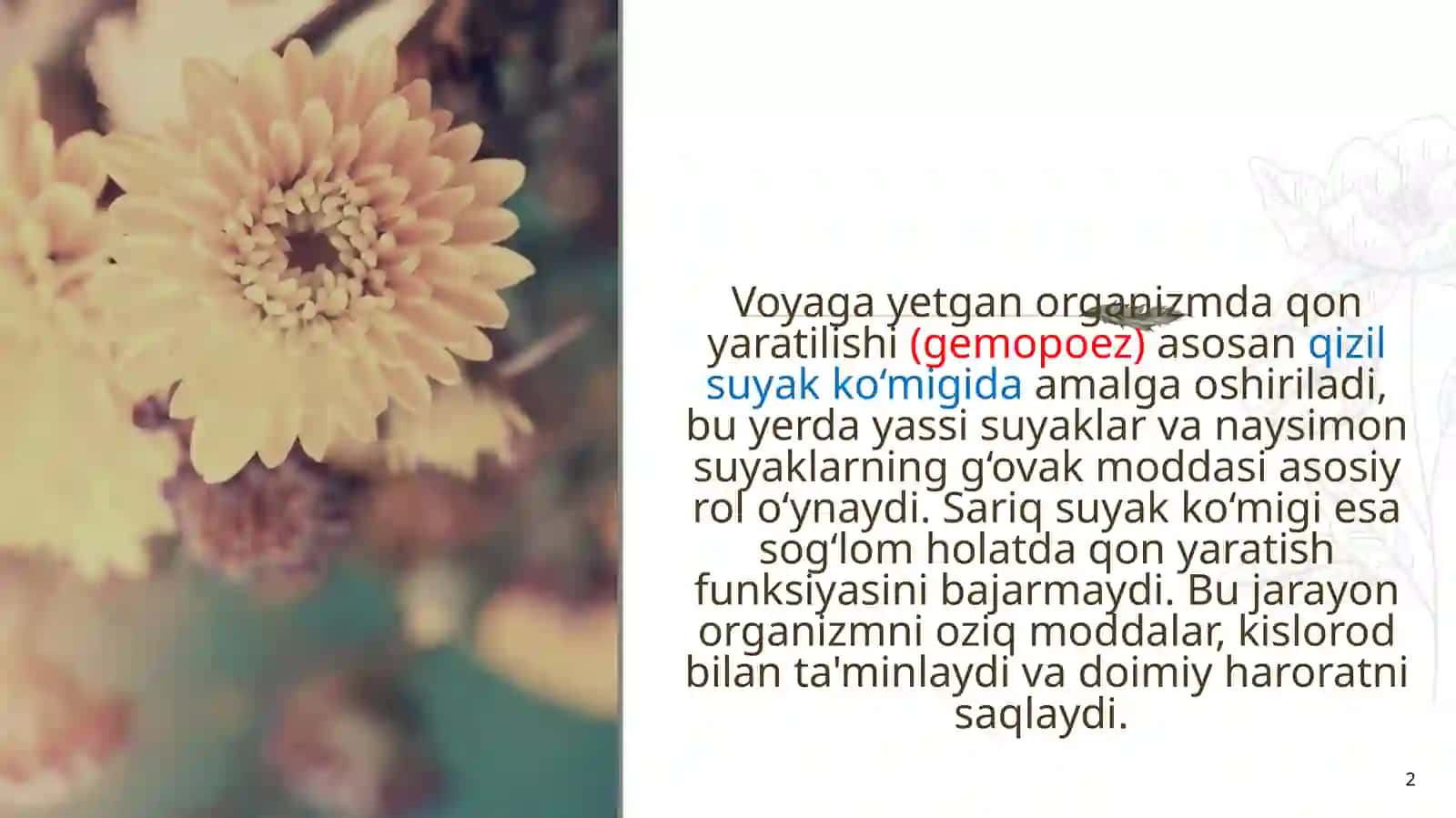 Qonyaratilishi jarayonining asosiy jihatlari 2