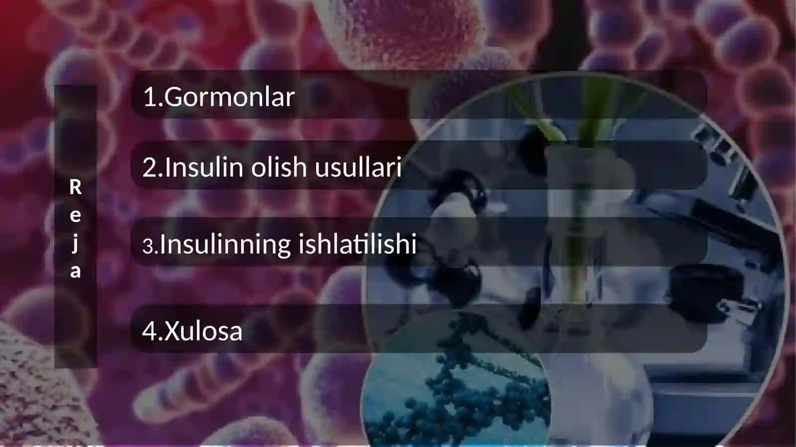 Insulin gormoni 2