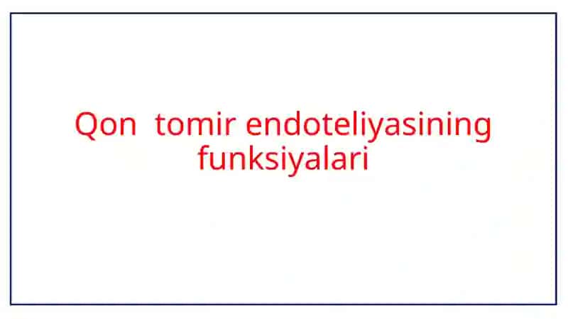 Qon  tomir endoteliyasining funksiyalari 2