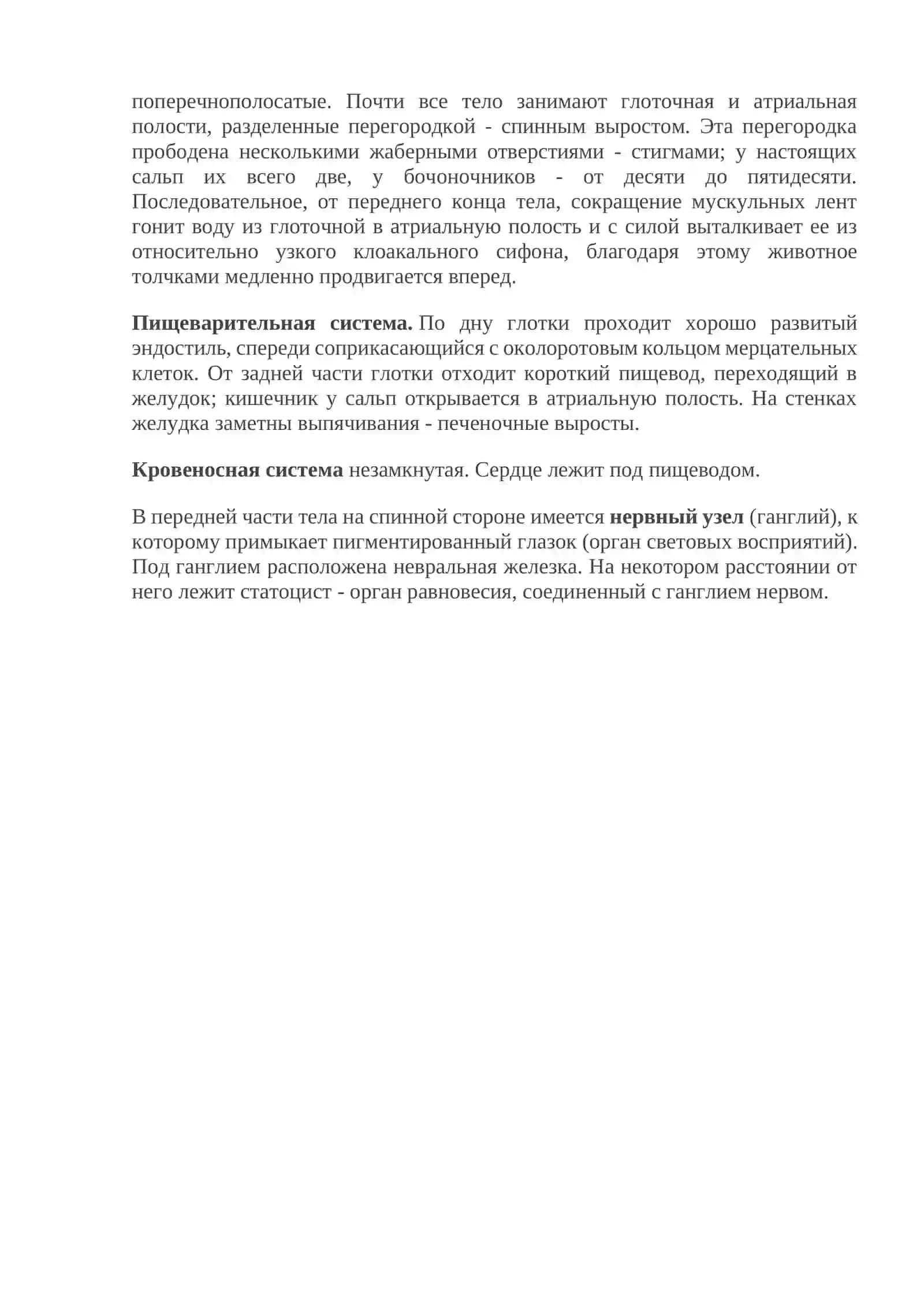 Сальпы (Thaliacea) 2