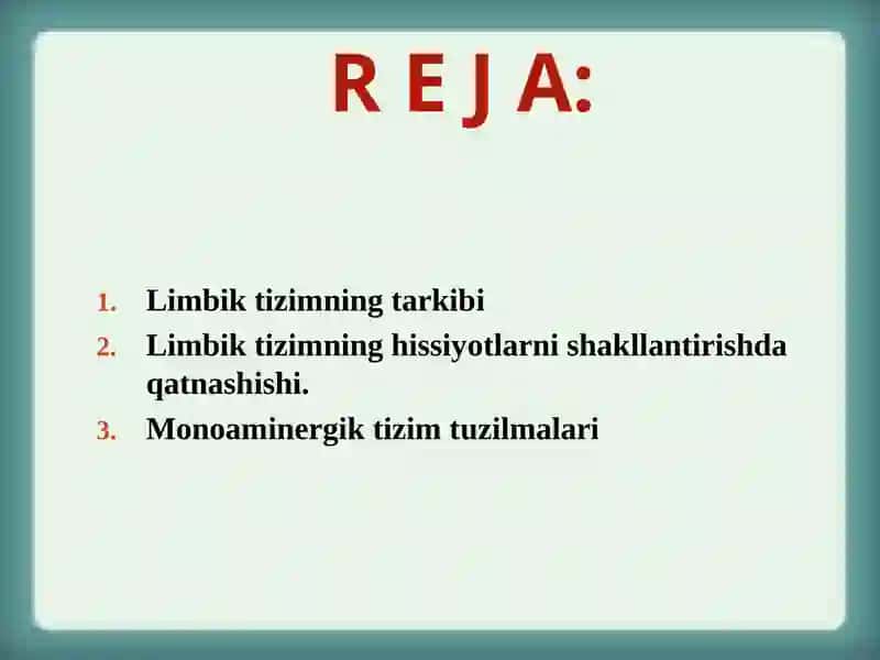 Limbiktizim 2