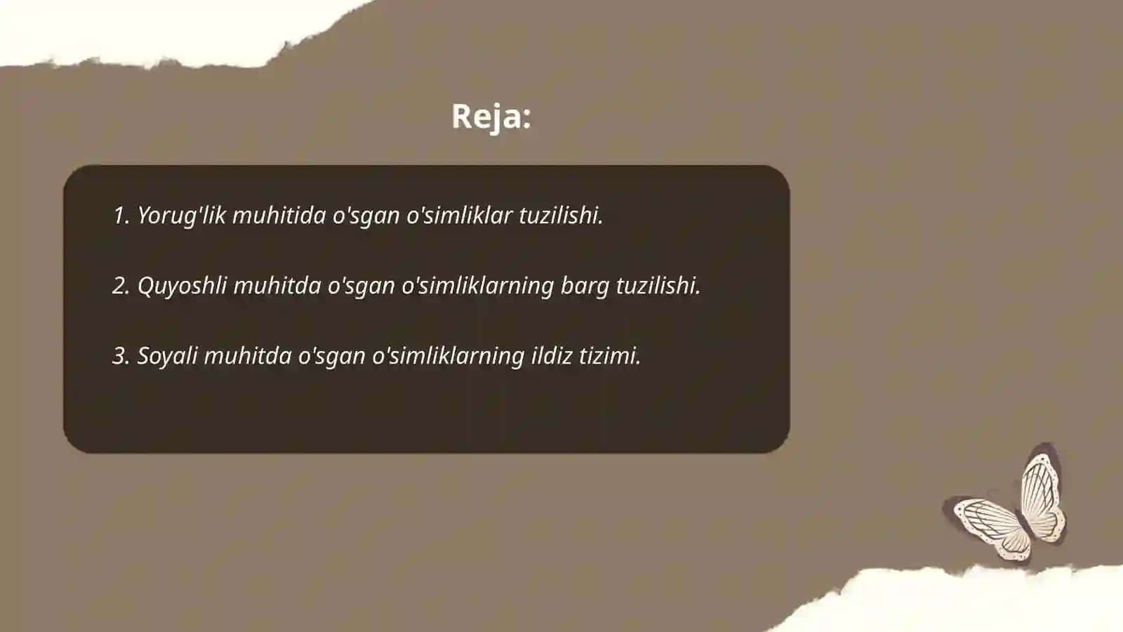 Yorug'lik muhitida o'sgan o'simliklar tuzilishi 2