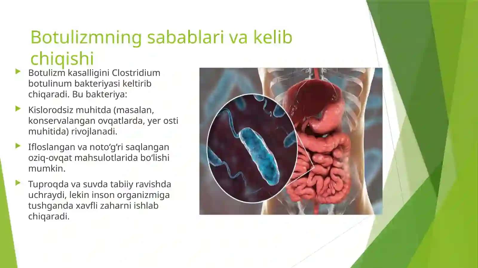 Botulizm bakteriali, xafli kasallik 2