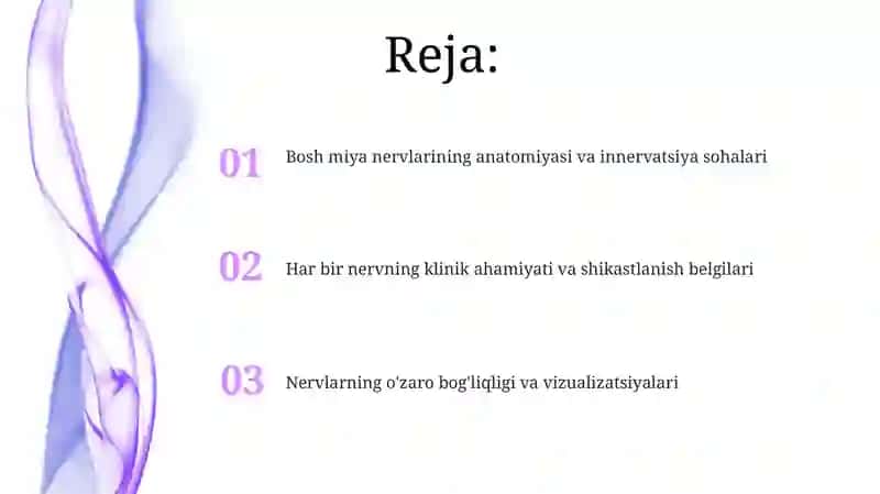 XII juft bosh miya nervining regional anatomiyasi 2