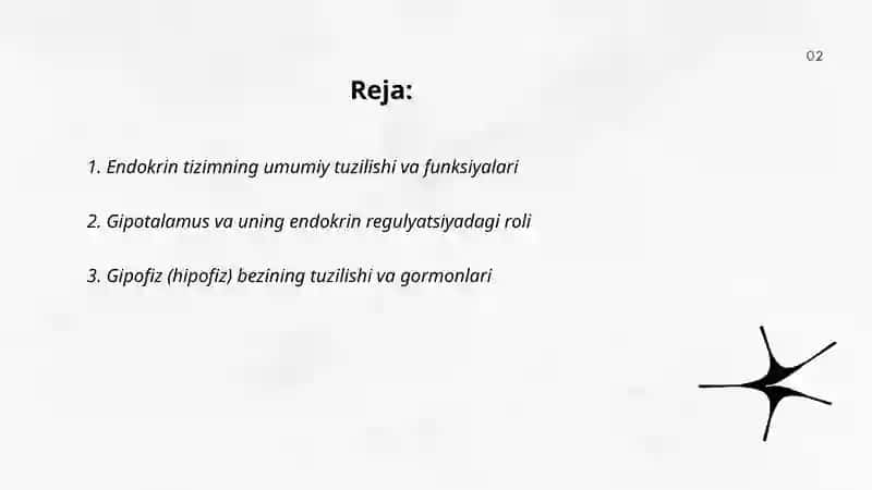 Endokrin tizimi 2