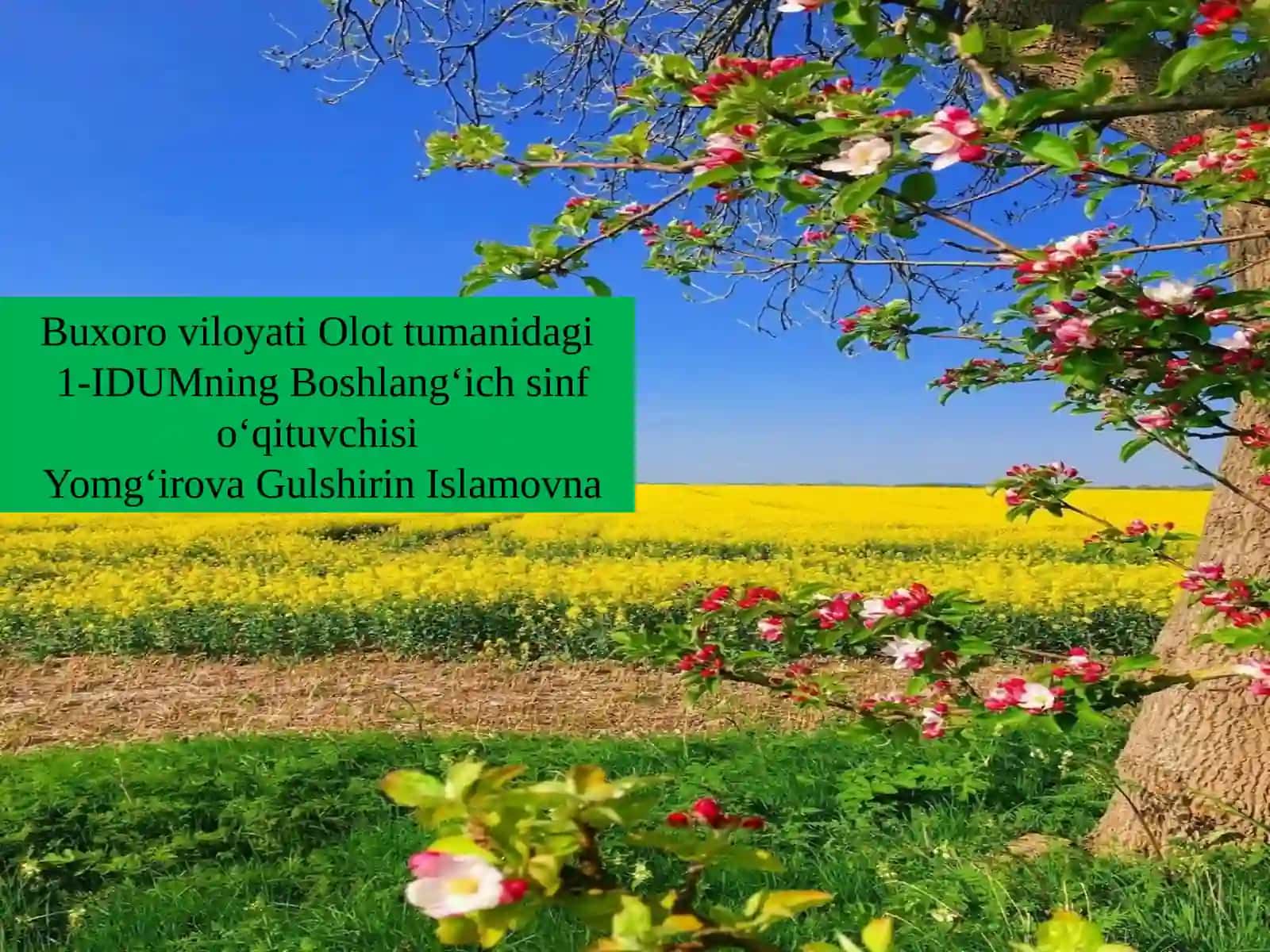 Qaysifaslbizgamehmonbo‘libkeldi? Bizningbayramkunlarimiz 2