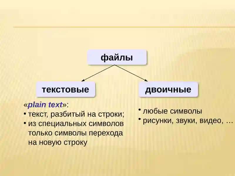 Работа с файлами в Phyton 2