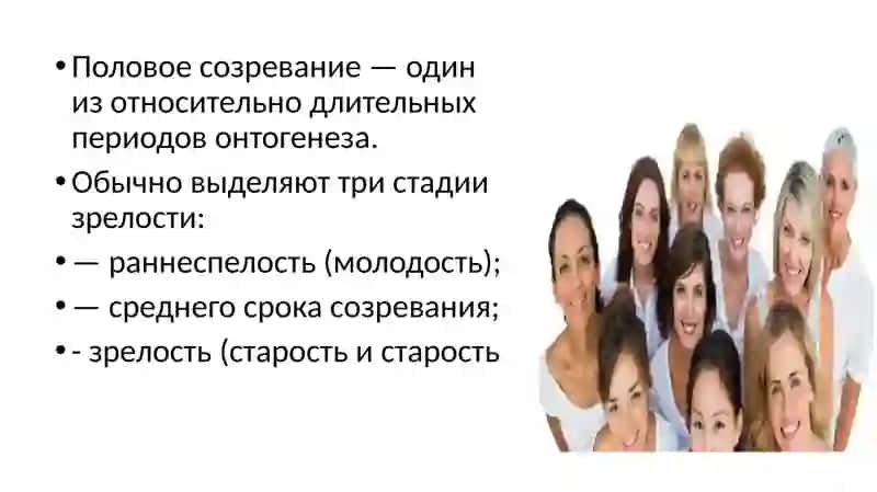 Зрелость 2