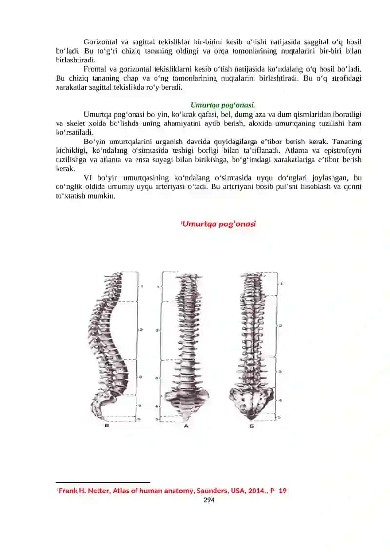 Osteosindersmologiya Amaliy mashg’ulat №1 2