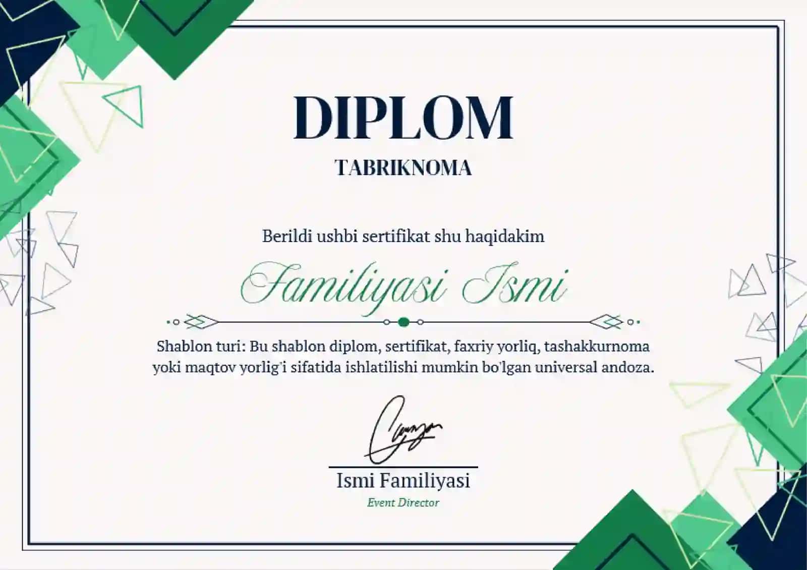 DIPLOM 2