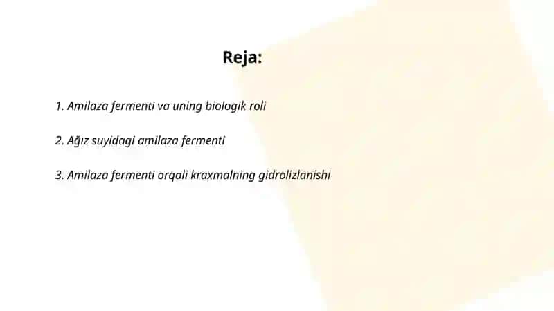 Amilaza fermenti 2