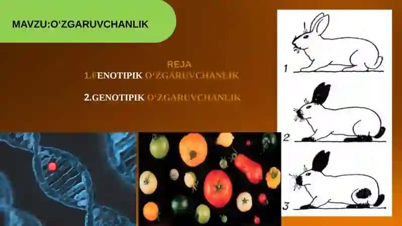 O‘ZGARUVCHANLIK 2