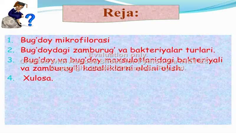 Bug'doy mikroflorasi 2