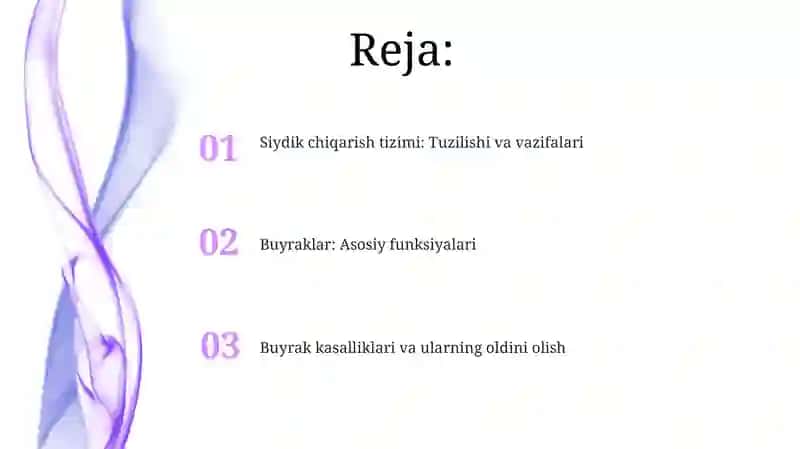Siydik Ayiruv sistemasi 2