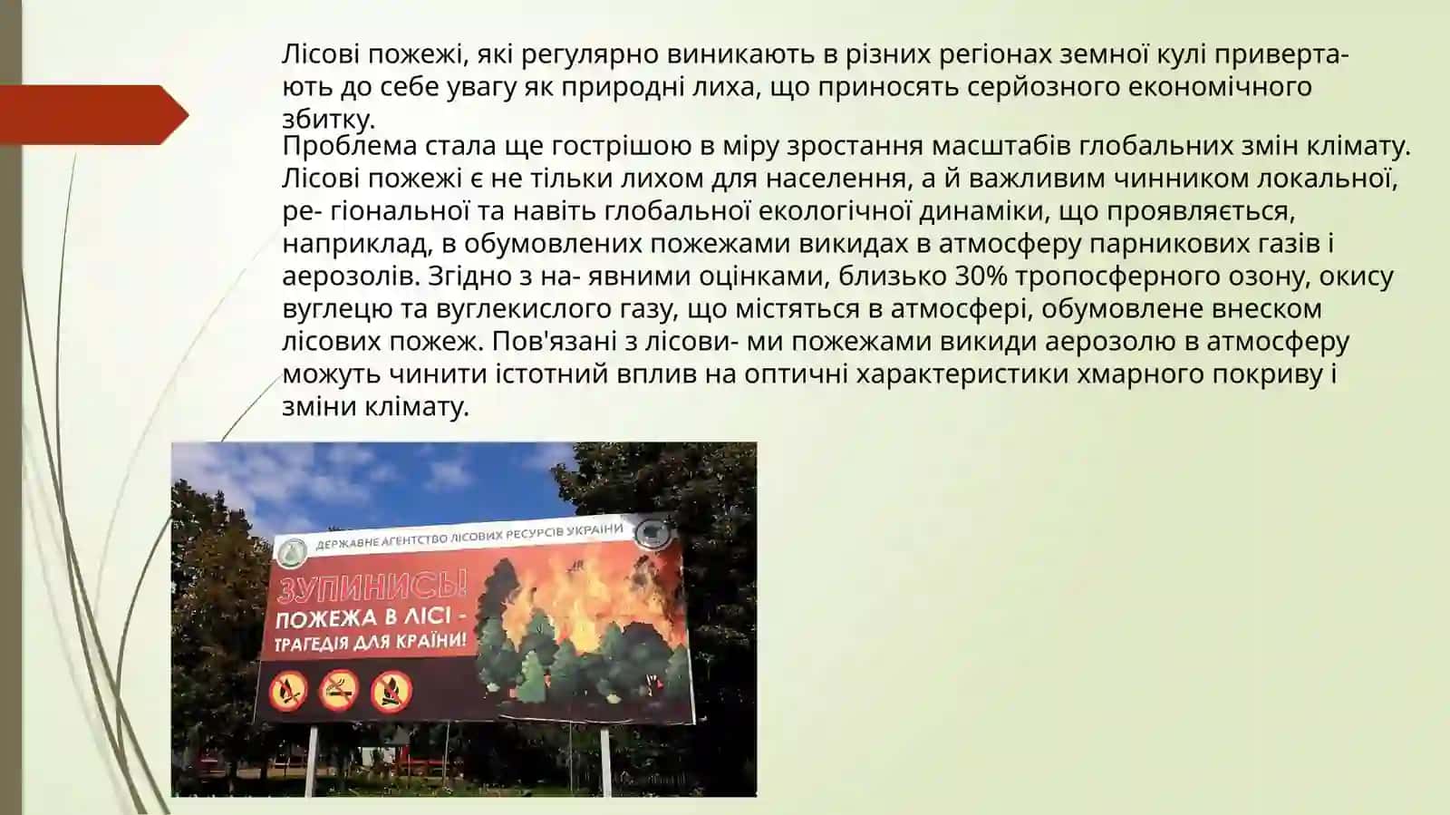 Вплив пожеж на стан навколишнього середовища 2