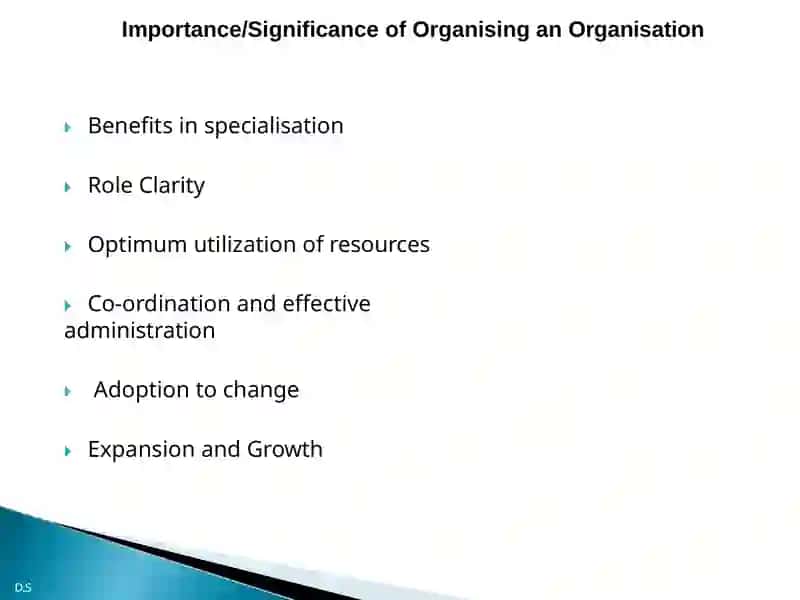 Organisation 2