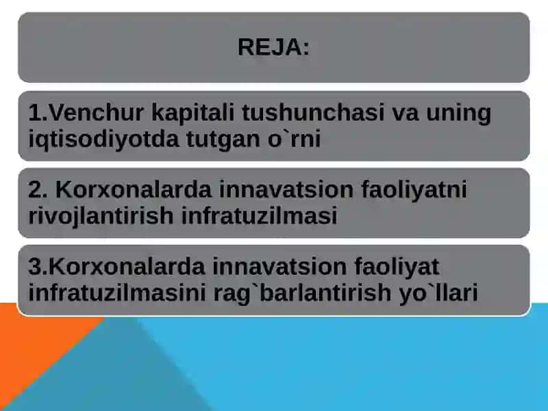 Venchur kapitali. Korxonalarda innavatsion faoliyatni boshqarish 2