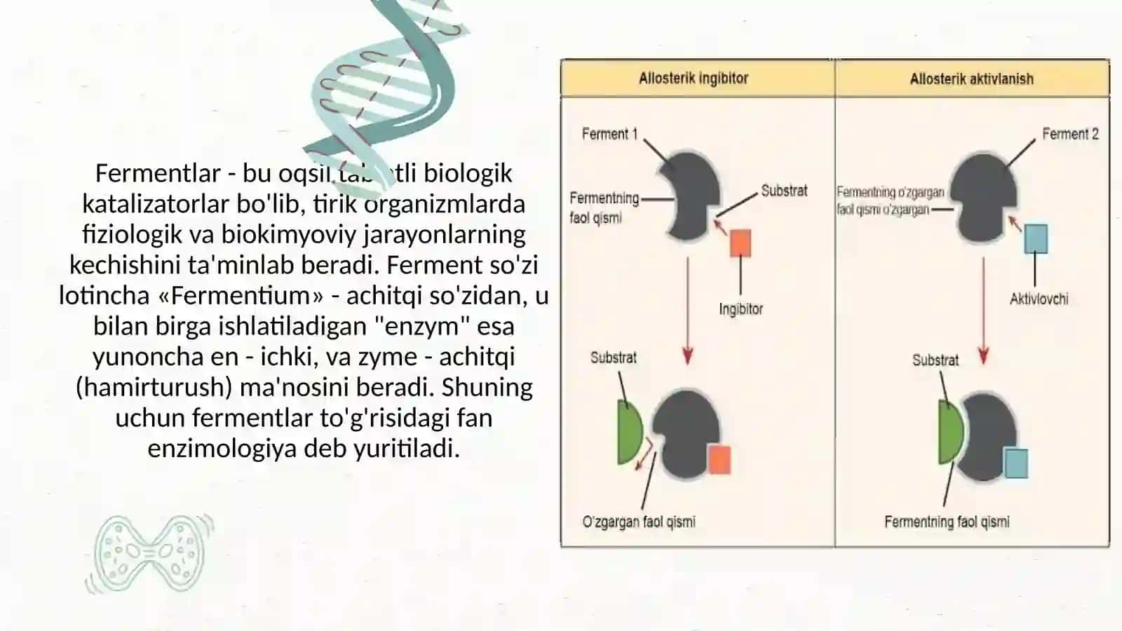 Fermentlar haqida umumiy tushuncha 2