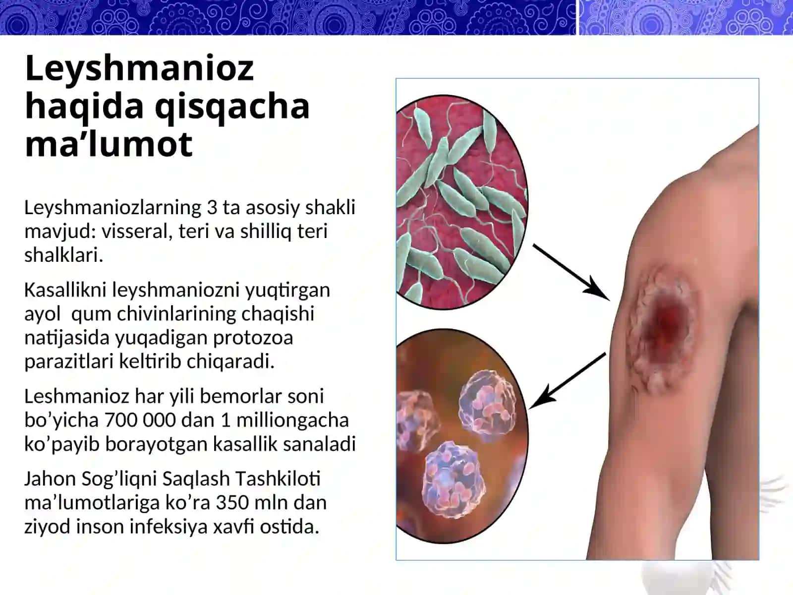 Leshmaniozga qarshi dori vositasining ta’sir potensiyalini invitro usulida hujayra koloniyasi orqali baholash va standartlash 2