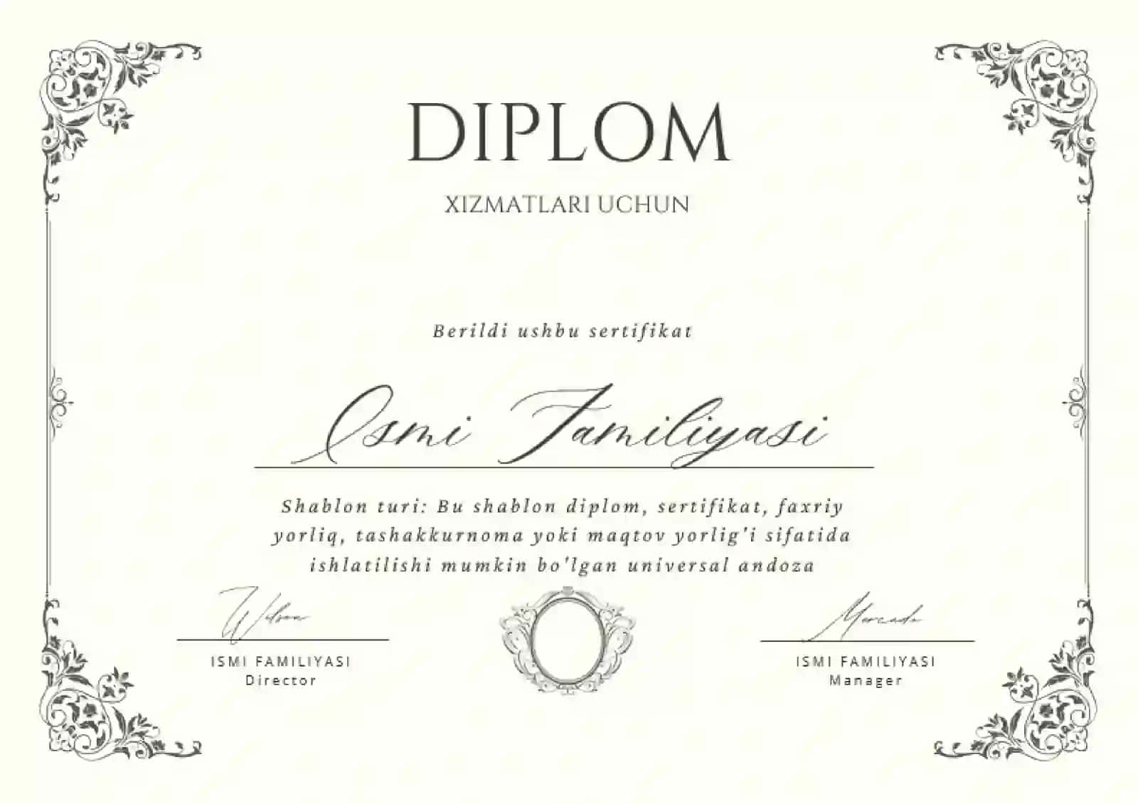 DIPLOM 2