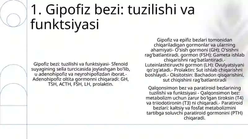 Gipofiz Va Epifizdan Ajraladigan Gormonlar Va Ularning Organizmdagi Ahamiyati. Qalqonsimon Va Qalqon Oldi Bezining Tuzilishi Va Funksiyasi. Me'Daosti Va Ayrisimon Bezning Fiziologiyasi 2