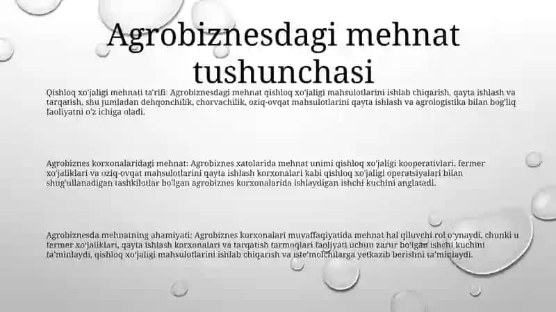 Agrobiznes Korxonalarida Mehnat Unimi 2