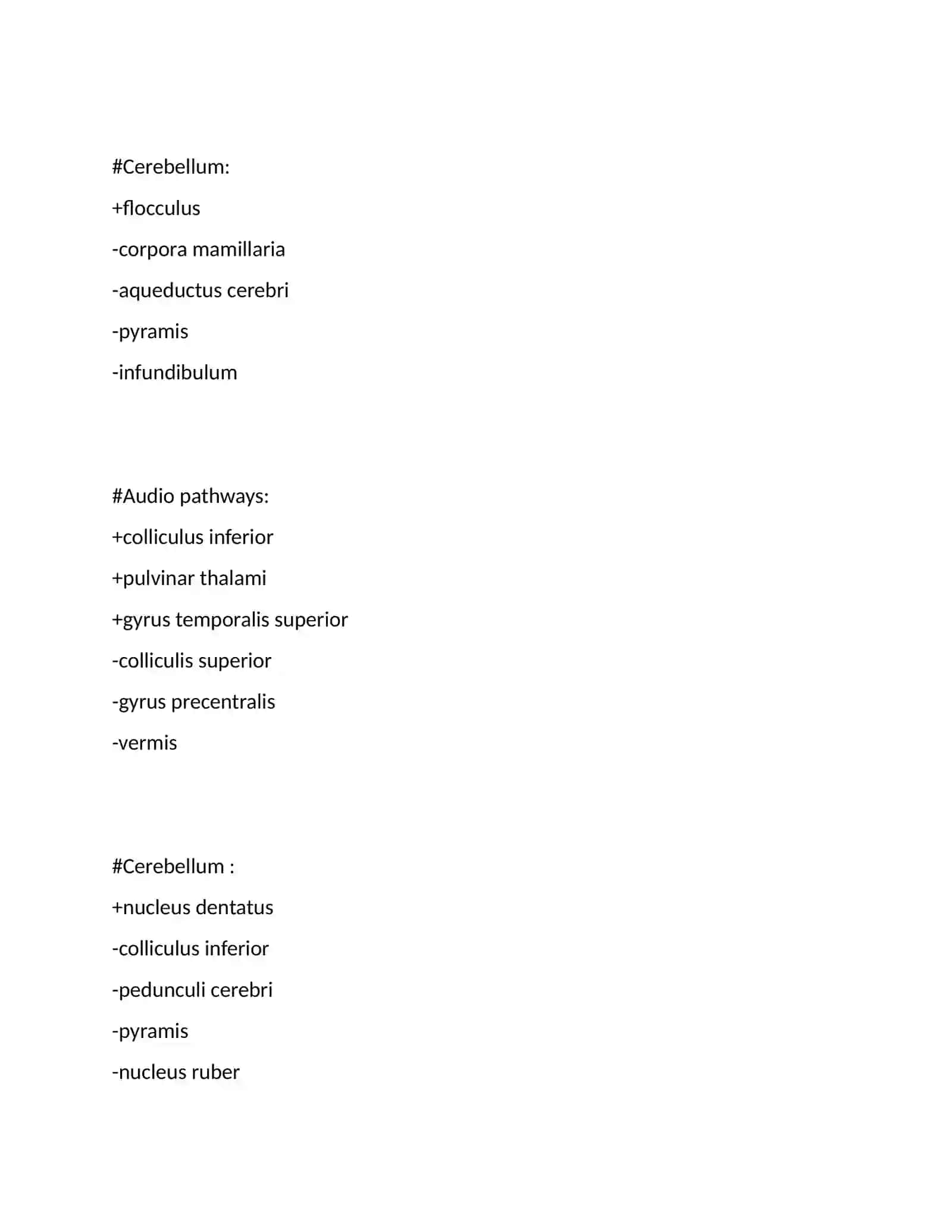 Medulla spinalis 2