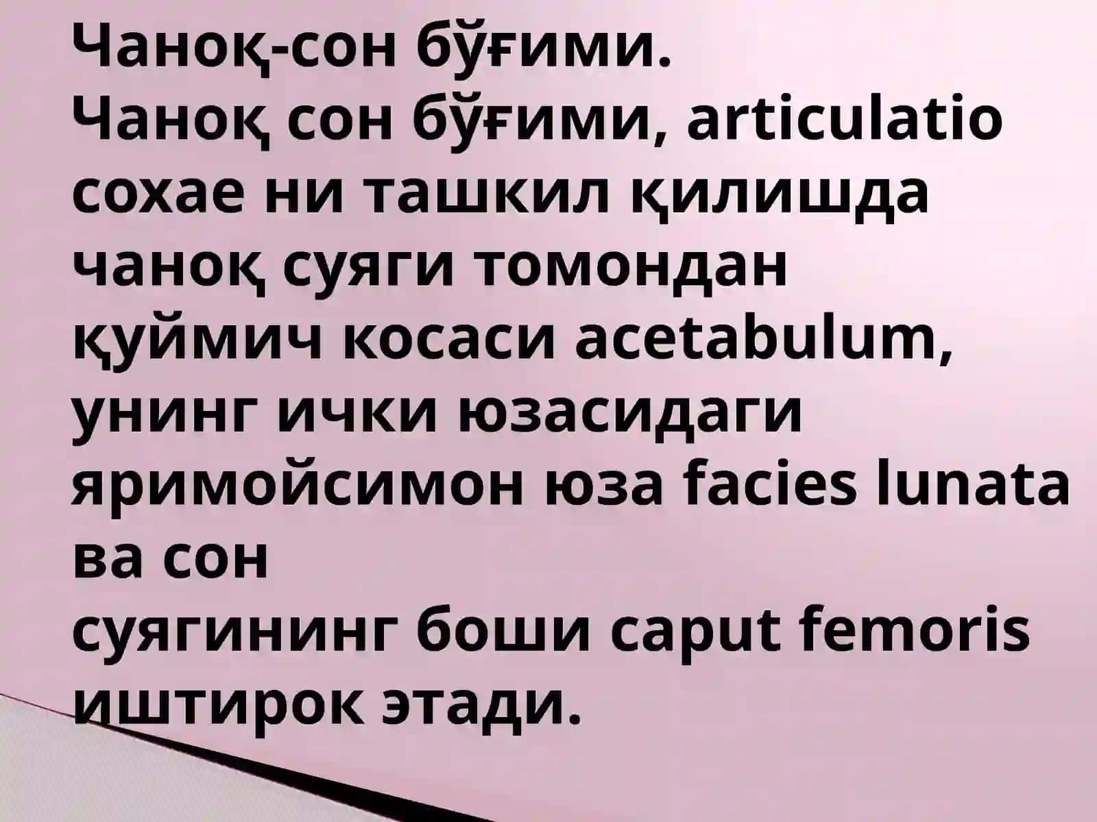 Чаноқ-сон бўғими 2