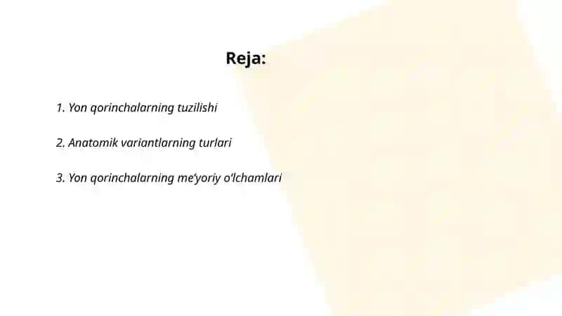 Yon qorinchalarining variant anatomiyasi klinik ahamiyati 2