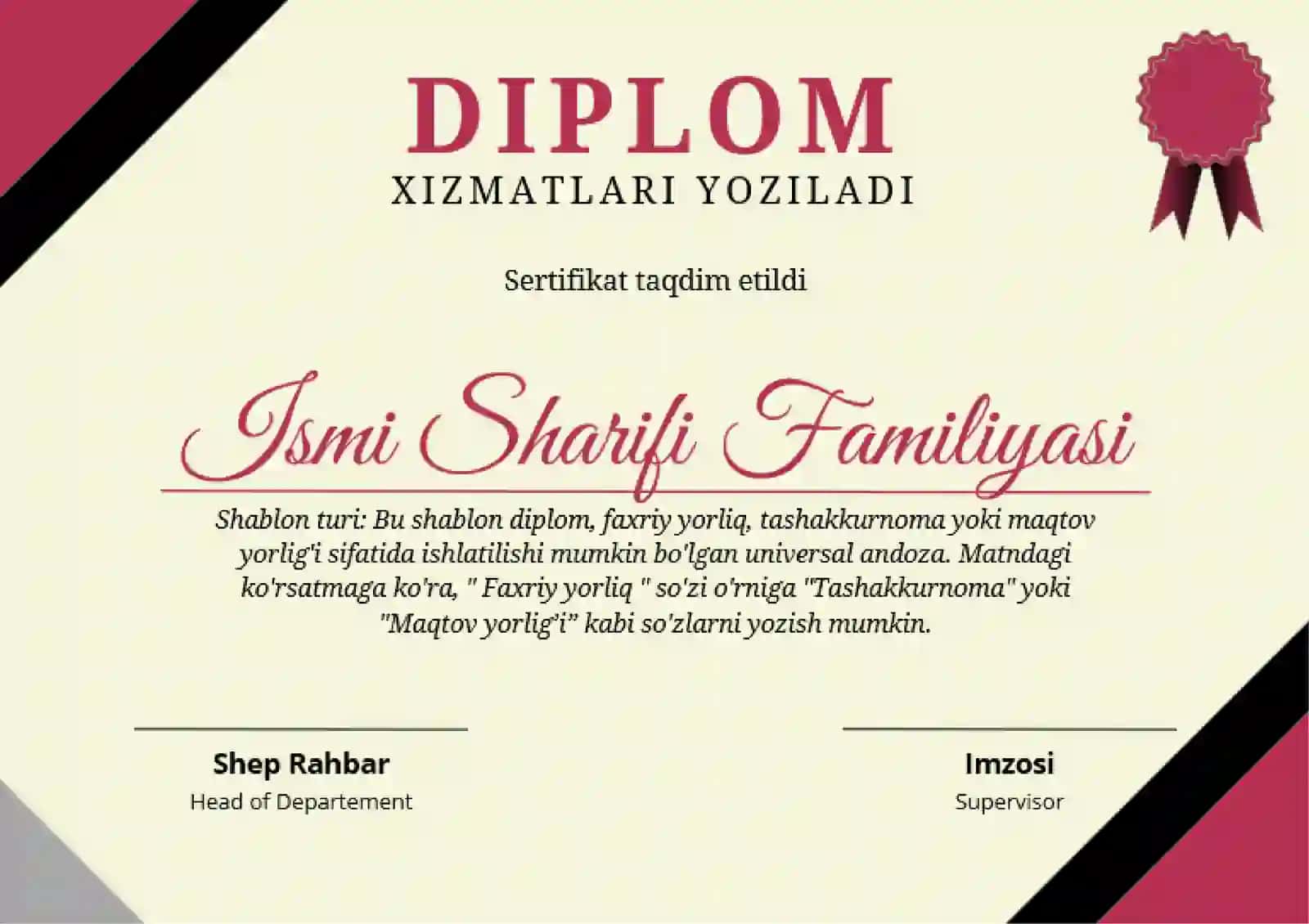 DIPLOM 2