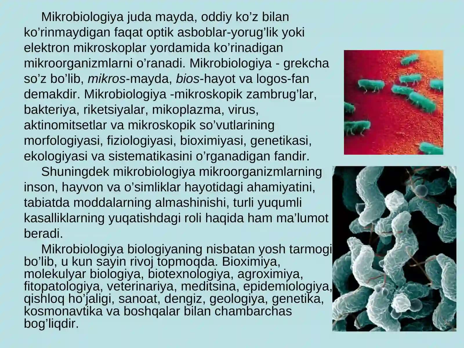 Mikrobiologiya fani, uning predmeti, vazifasi va ahamiyati 2