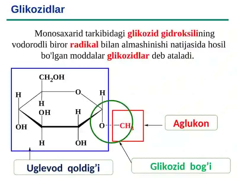 GLIKOZIDLAR 2