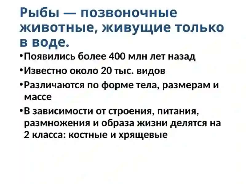 Рыбы 2